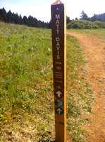 Mt Tam - Dipsea Trail and Steep Ravine