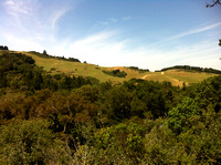 Windy Hill: Open Space Preserve