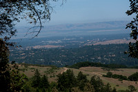 Windy Hill: Open Space Preserve