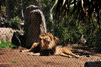 San Diego Zoo - April 2012